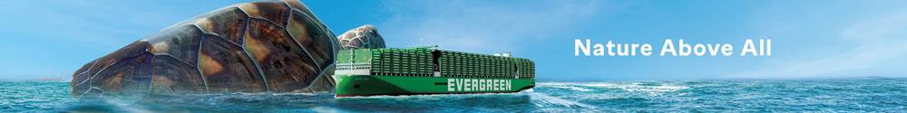 Evergreen Turtle Banner Sept24